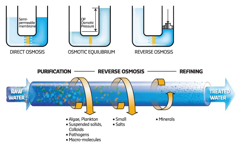 The Reverse Osmosis Process