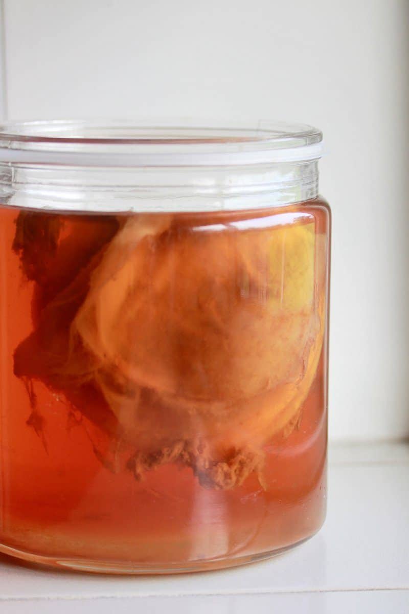 jar of kombucha