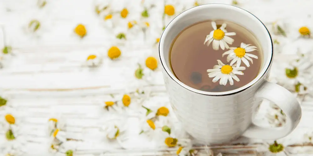 A Cup Of Chamomile Tea 