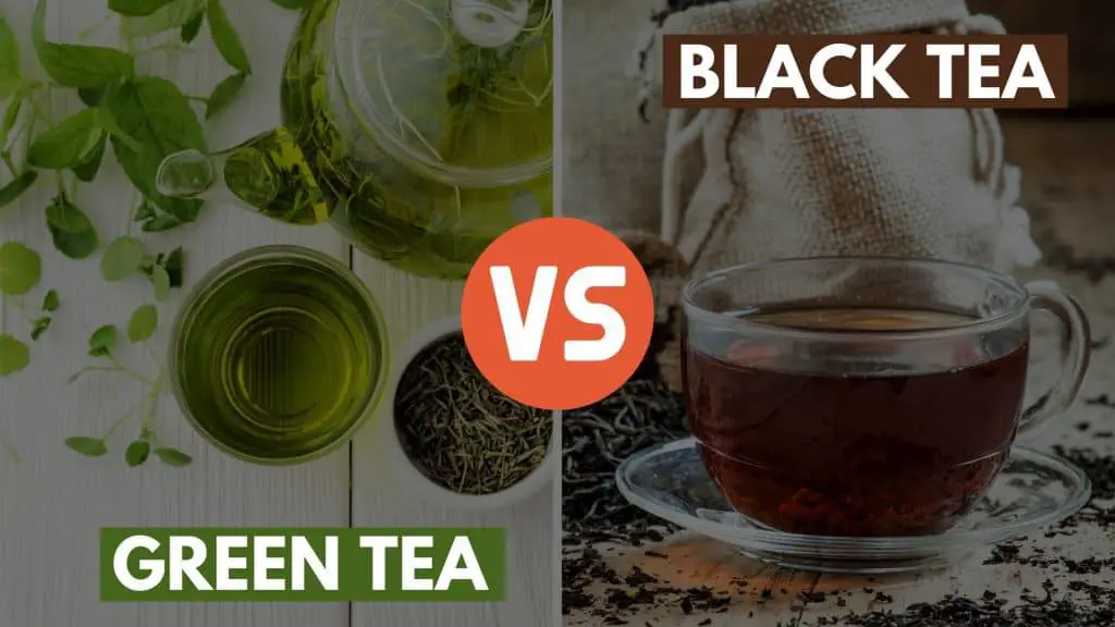 Green Tea vs Black Tea Which is Better?