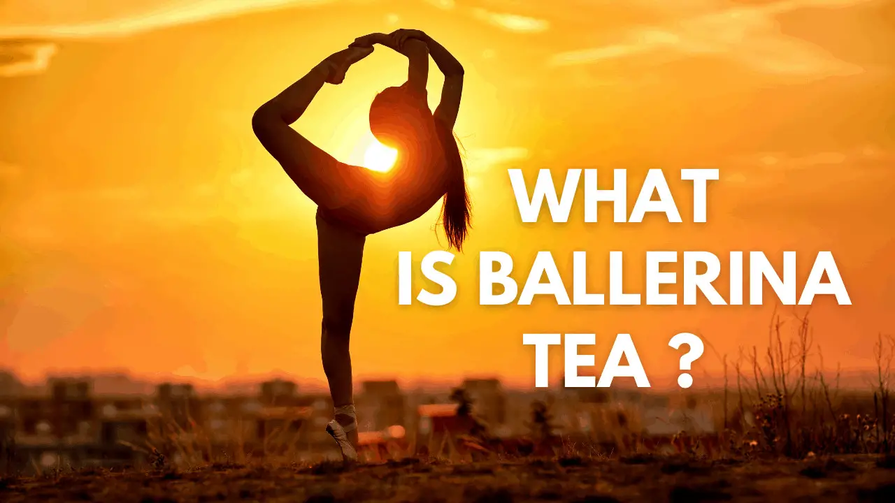 Ballerina What is It and Should Not) Drink It