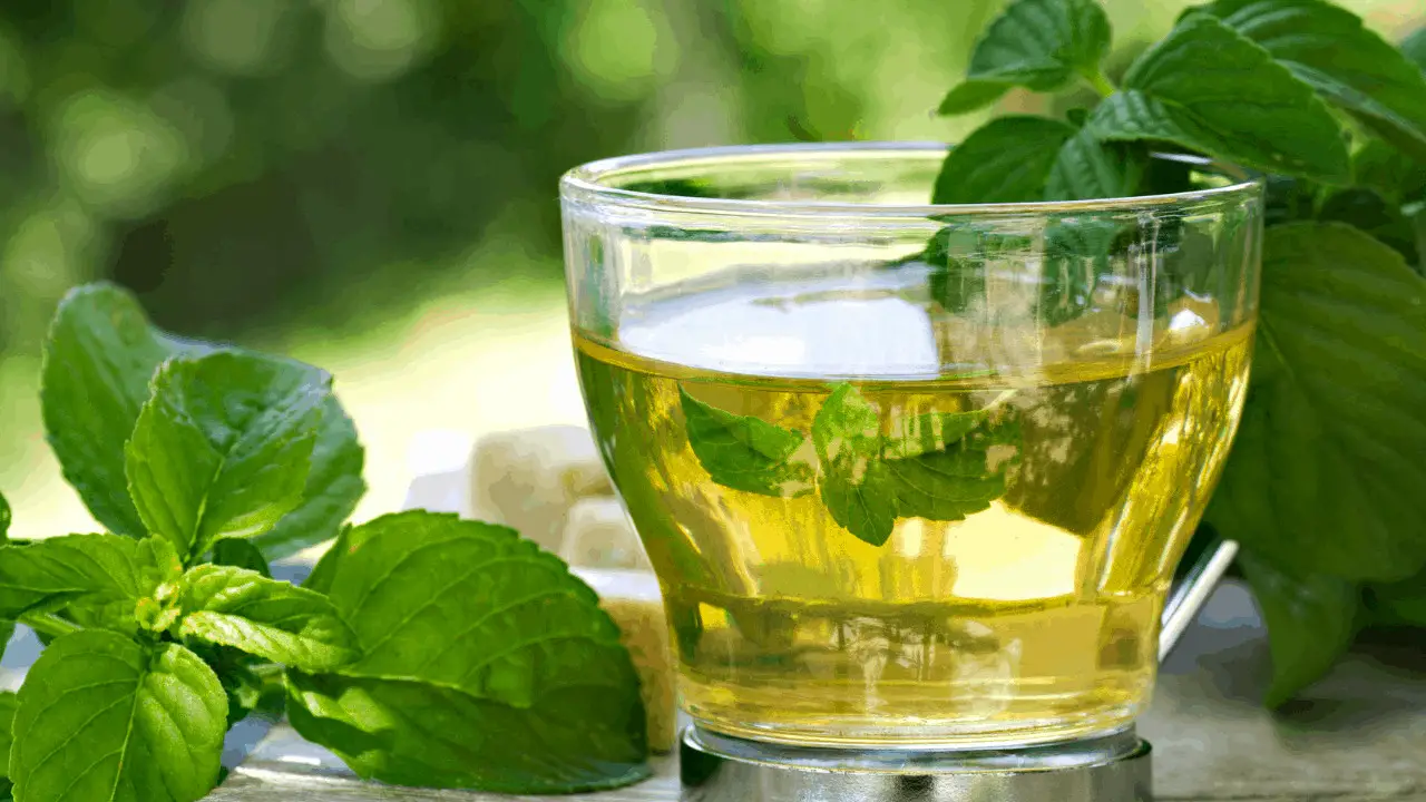 how to make spearmint tea for pcos