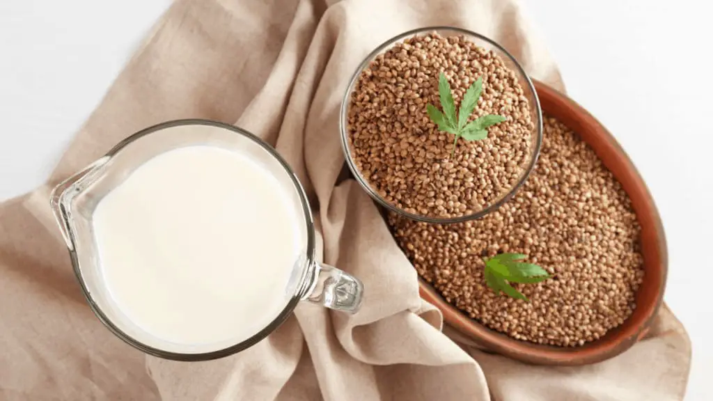 Is Hemp Milk Good For You?