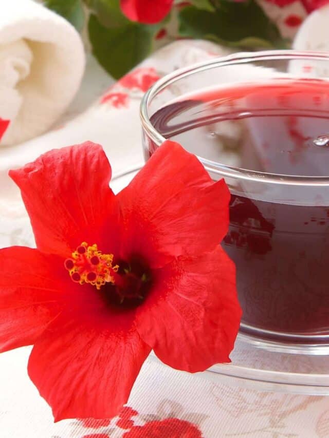 cropped-hibiscus-tea-1.jpg